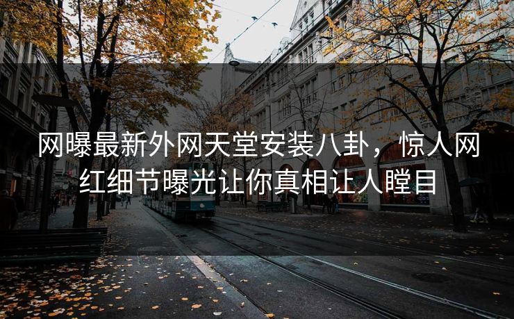 网曝最新外网天堂安装八卦，惊人网红细节曝光让你真相让人瞠目