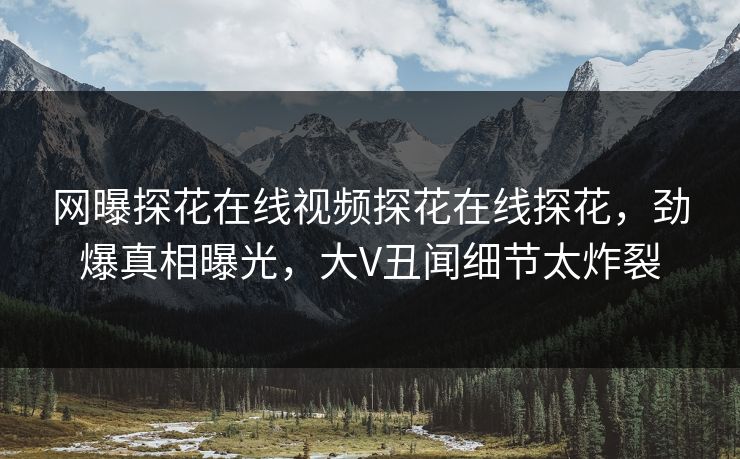 网曝探花在线视频探花在线探花，劲爆真相曝光，大V丑闻细节太炸裂