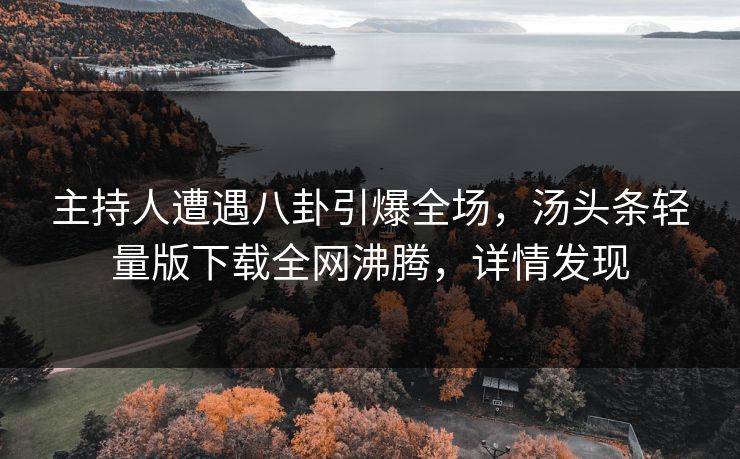 主持人遭遇八卦引爆全场，汤头条轻量版下载全网沸腾，详情发现
