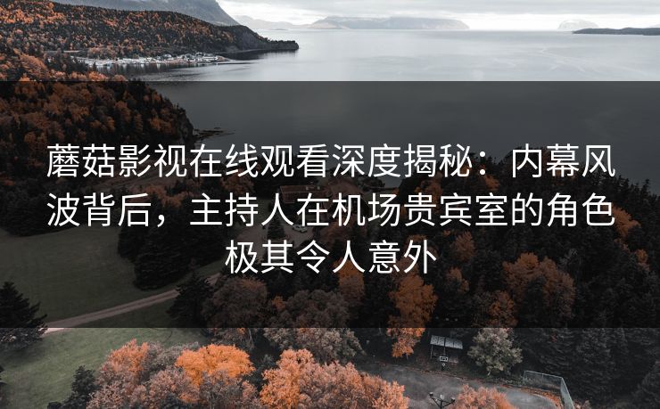 蘑菇影视在线观看深度揭秘：内幕风波背后，主持人在机场贵宾室的角色极其令人意外