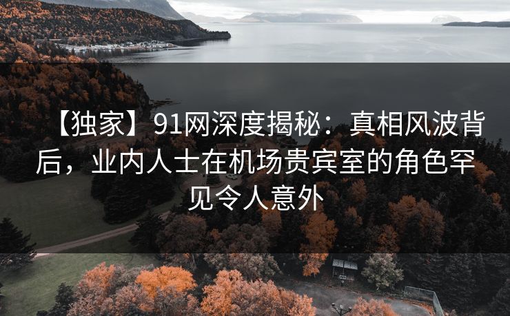 【独家】91网深度揭秘：真相风波背后，业内人士在机场贵宾室的角色罕见令人意外