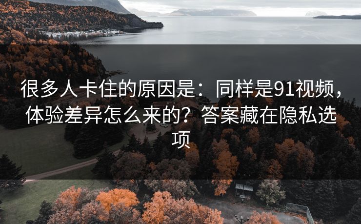 很多人卡住的原因是：同样是91视频，体验差异怎么来的？答案藏在隐私选项